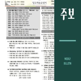 6adbe621d21fc8195849